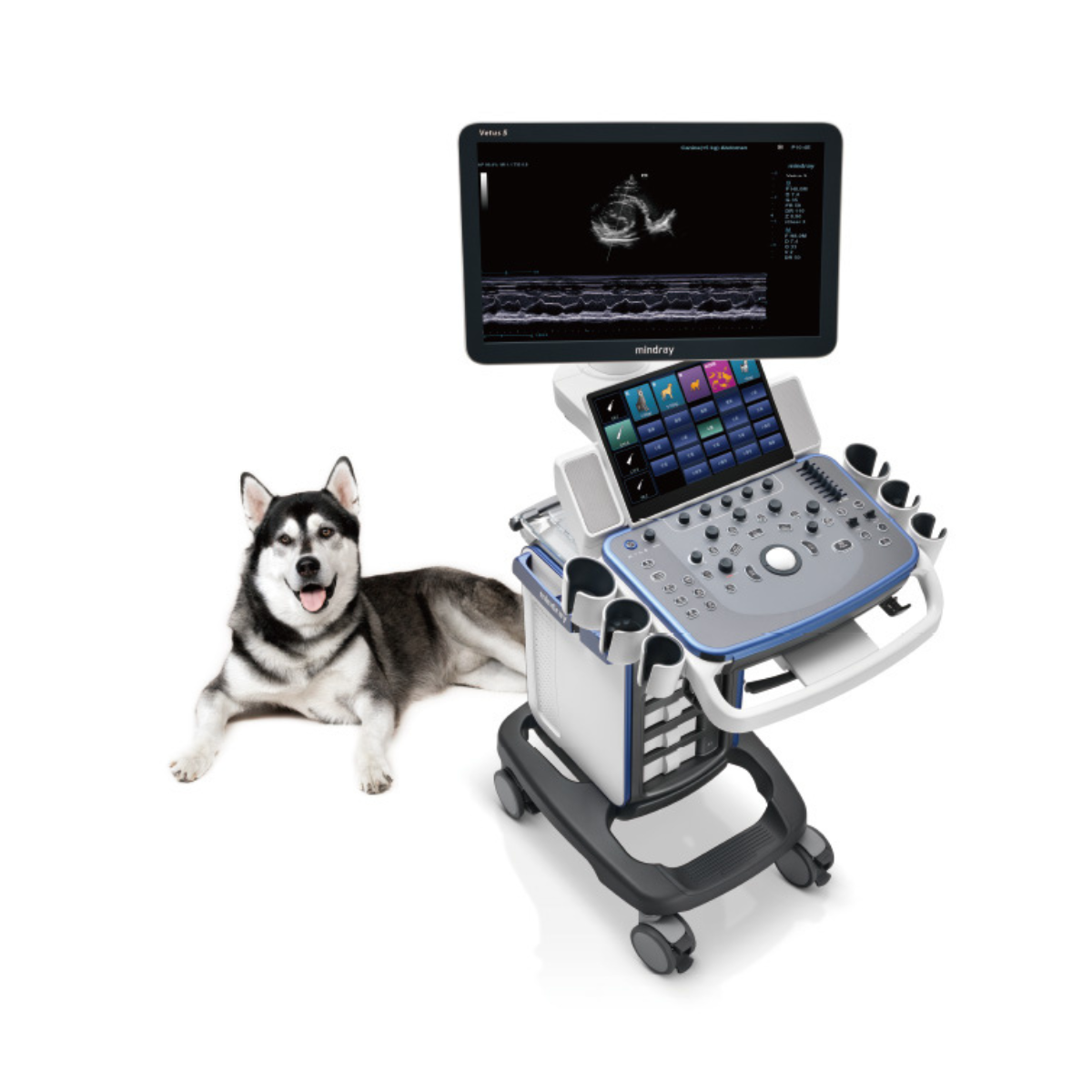 Equipo de ultrasonido de diagnóstico veterinario VETUS 5 | Marca Mindray