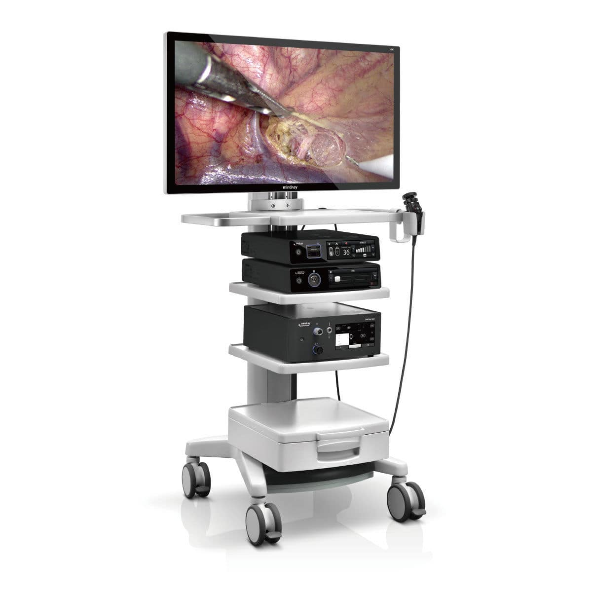 Endoscopio rígido veterinario con monitor 55″ y grabación integrada Vetina CS7 4K | Marca Mindray Animal Care