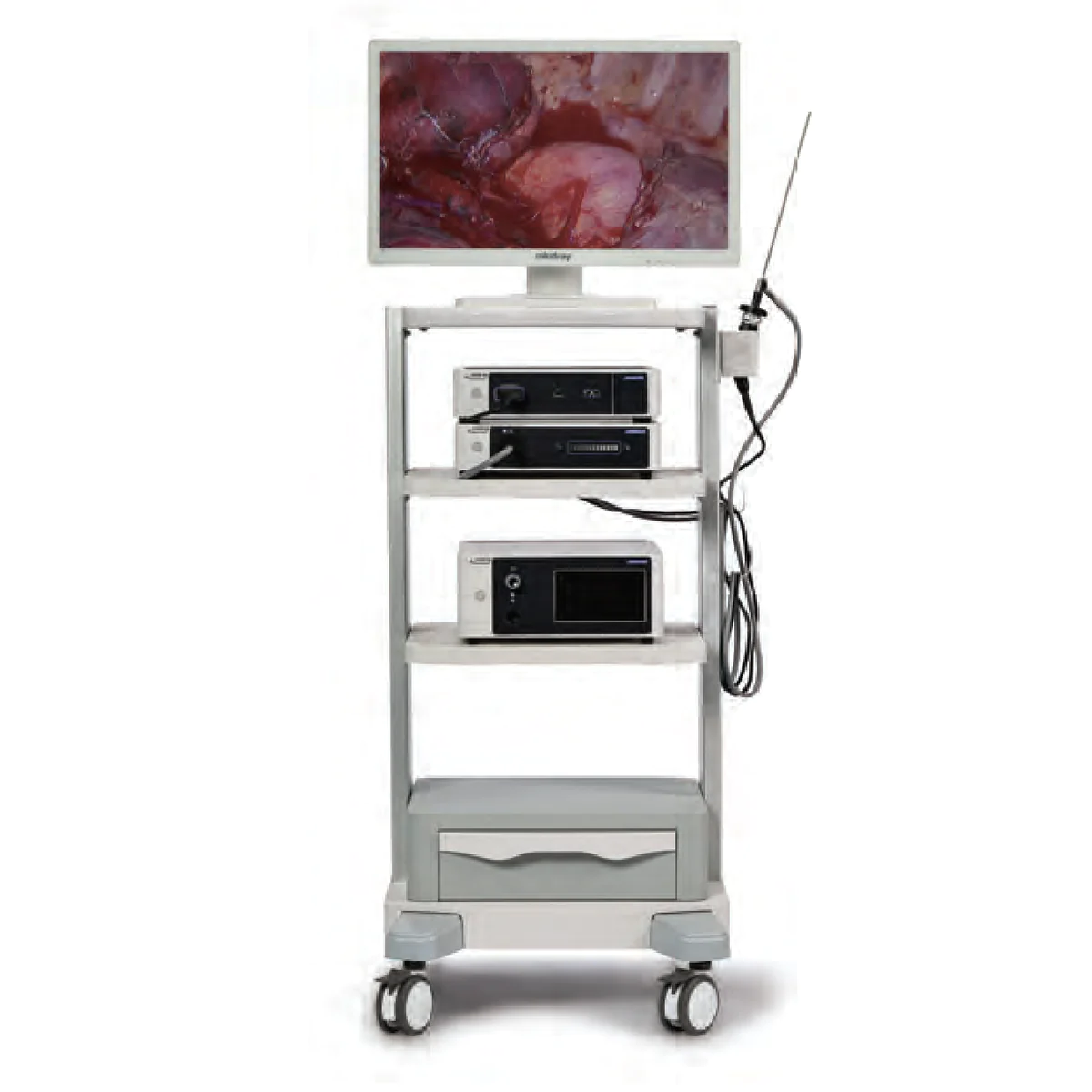 Endoscopio rígido veterinario con cámara CMOS 3‑chip y monitor 27″ Vetina CS3 | Marca Mindray Animal Care