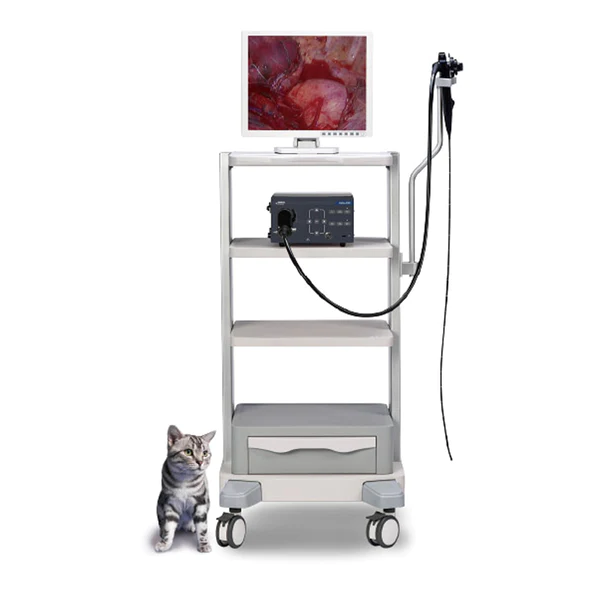Videoendoscopio portátil para uso veterinario, pantalla 10″ Vetina ES3 | Marca Mindray Animal Care